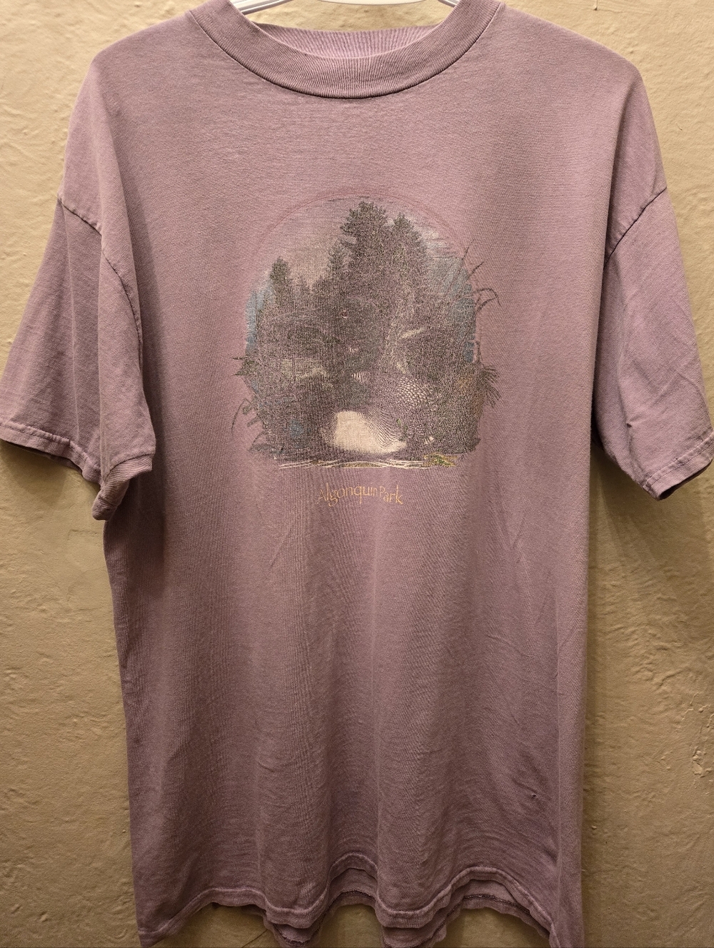 Vintage Distressed Algonquin Park Tee Faded Grunge Nature Shirt Oversized L - Picture 2 of 11